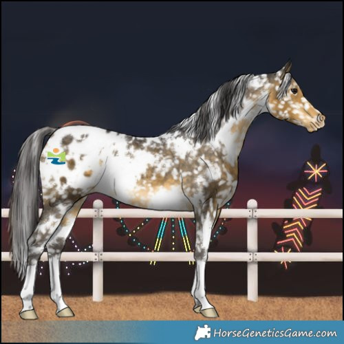 Horse Color:White Spotted Buckskin Blanket 