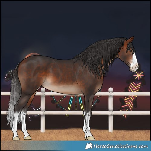 Horse Color:Bay 
