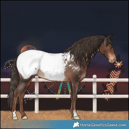 Horse Color:Liver Chestnut Near Fewspot 