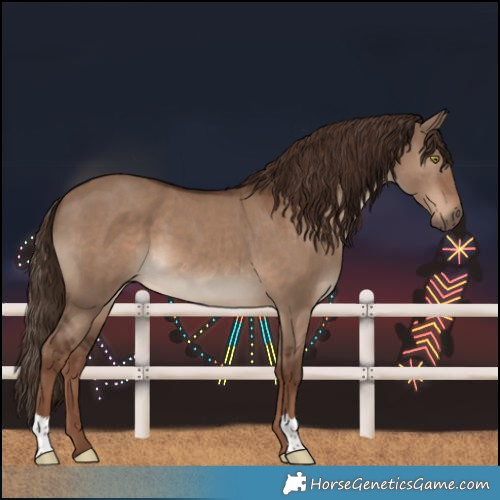 Horse Color:Liver Red Dun 