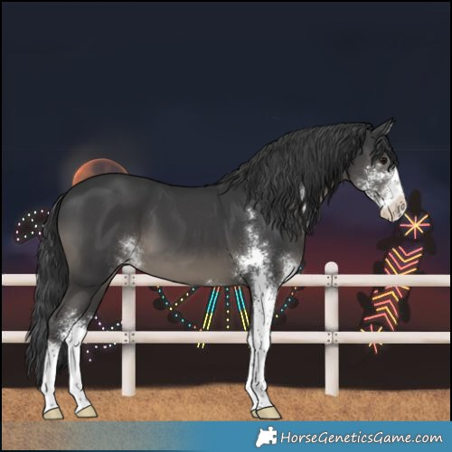 Horse Color:Black Sabino 