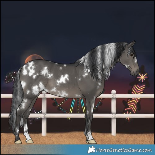 Horse Color:White Spotted Black 