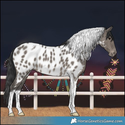 Horse Color:Grullo Tobiano Near Leopard 