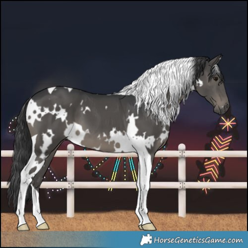 Horse Color:White Spotted Black Tobiano 