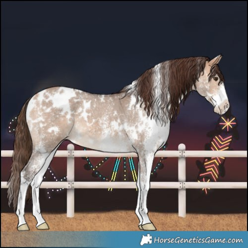 Horse Color:White Spotted Bay Dun Blanket 