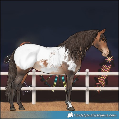 Horse Color:Bay Snowcap 