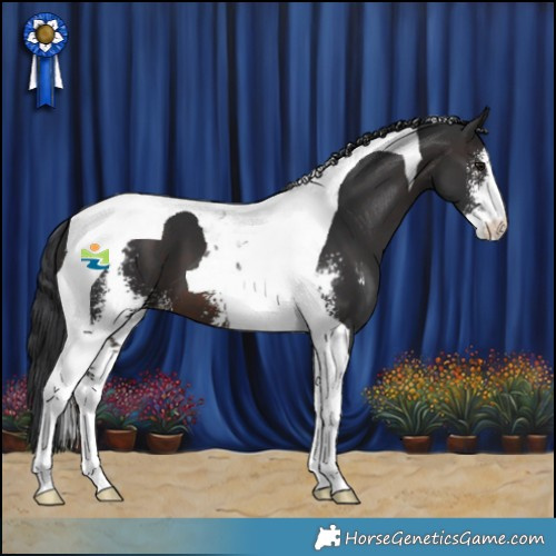 Horse Color:Brown Sabino Tobiano 
