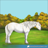 Horse Color:Chestnut Snowdrop Pearl Sabino Splash 