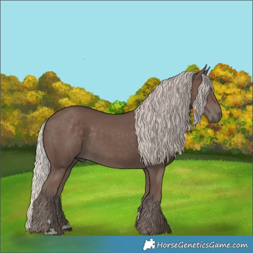 Horse Color:Silver Black 