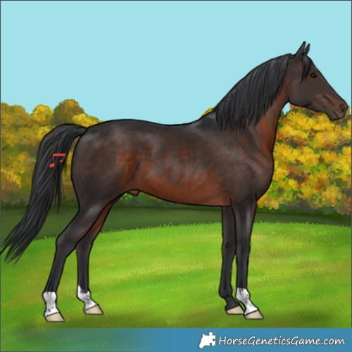 Horse Color:Brown Mushroom 