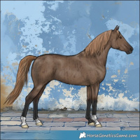 Horse Color:Liver Red Dun Brindle 