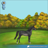 Horse Color:Black Rabicano 