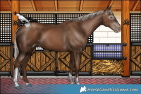 Horse Color:Gray Silver Black Pearl Tobiano