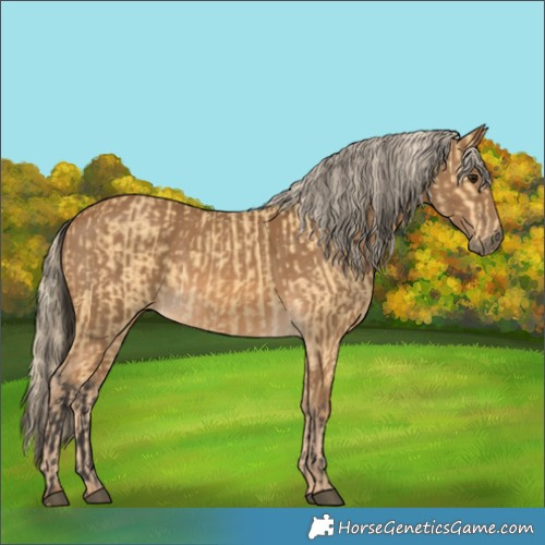 Horse Color:Buckskin  and Chocolate Palomino 