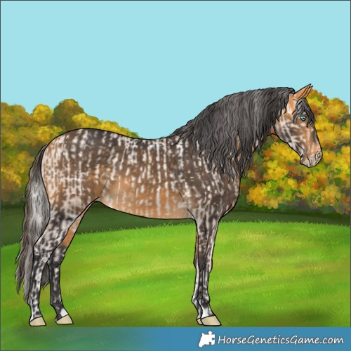Horse Color:White Spotted Gold Cream Champagne Pearl and Buckskin