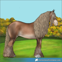 Horse Color:Gray Liver Chestnut Pearl Mushroom
