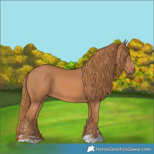 Horse Color:Chestnut 