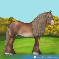Horse Color:Gray Liver Chestnut Pearl Mushroom