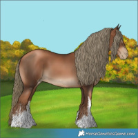 Horse Color:Gray White Spotted Liver Chestnut Pearl Mushroom 