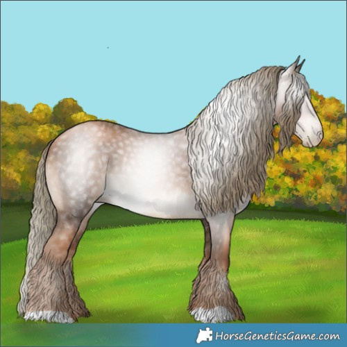 Horse Color:Gray Liver Chestnut Pearl Mushroom