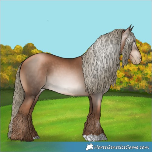 Horse Color:Gray Liver Chestnut Pearl Mushroom