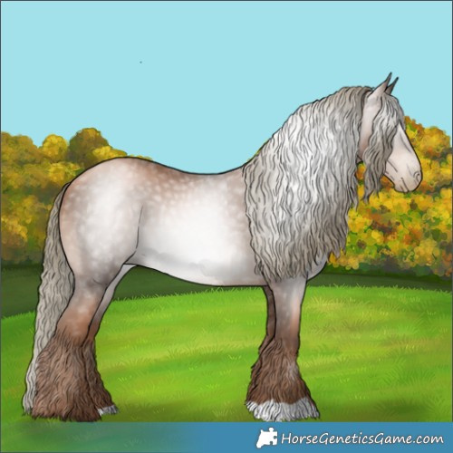 Horse Color:Gray Liver Chestnut Pearl Mushroom