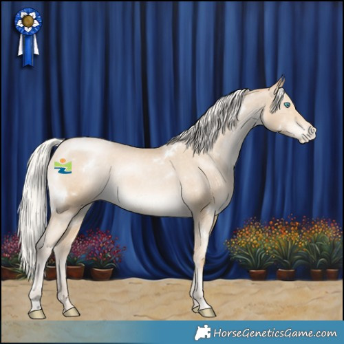 Horse Color:White Spotted Silver Black Snowdrop Pearl Appaloosa Rabicano 