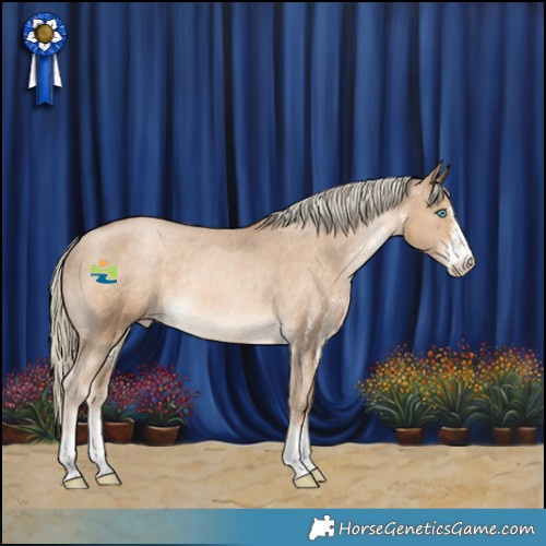 Horse Color:Chocolate Palomino Pearl Sabino Appaloosa Rabicano 