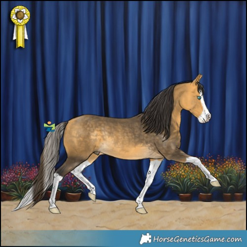 Horse Color:Buckskin Splash Rabicano 