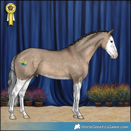 Horse Color:Brown Dun Splash 