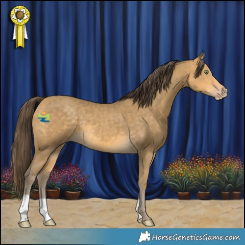 Horse Color:Sable Cream Champagne 