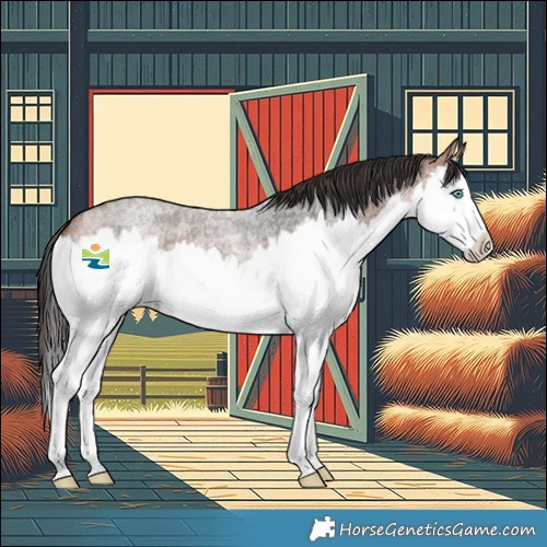 Horse Color:Bay Roan Splash 