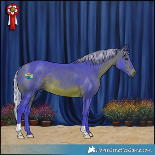 Horse Color:Watercolor Silver Brown 