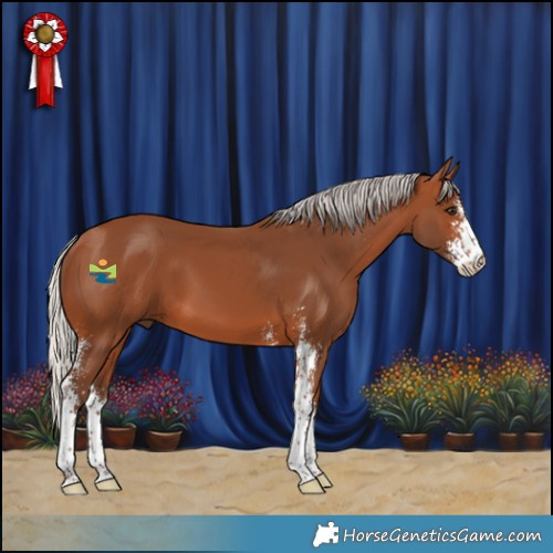 Horse Color:Silver Brown Sabino 