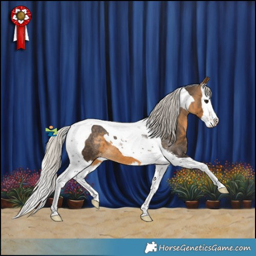 Horse Color:Silver Buckskin Sabino Splash Tobiano Appaloosa 