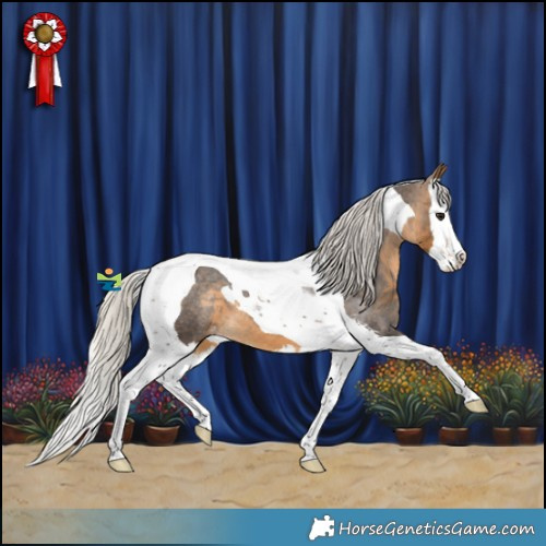 Horse Color:Silver Buckskin Sabino Splash Tobiano Appaloosa 