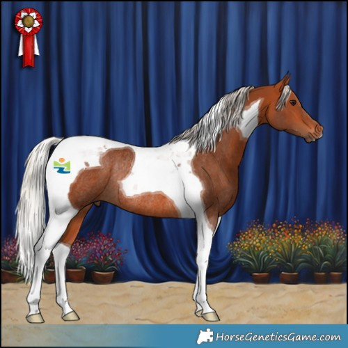 Horse Color:Silver Bay Tobiano Rabicano 