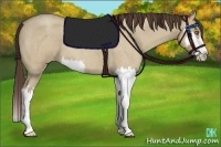 Horse Color:Classic Champagne Roan Dun Splash Frame