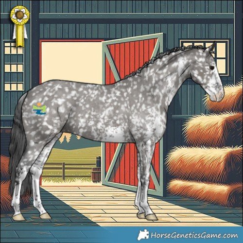 Horse Color:Grullo Sabino Appaloosa 