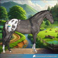 Horse Color:Grullo Snowflake Varnish 
