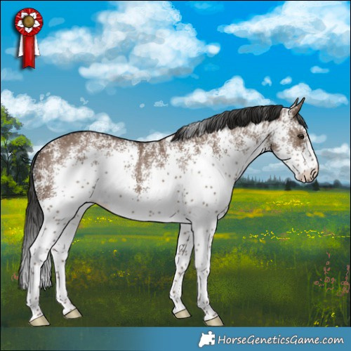 Horse Color:White Spotted Liver Red Dun Rabicano 