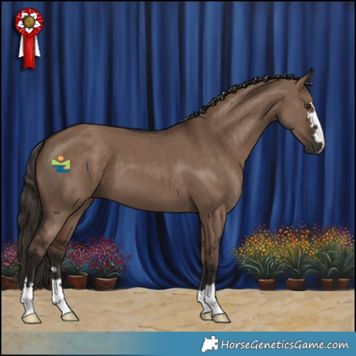 Horse Color:Liver Red Dun 