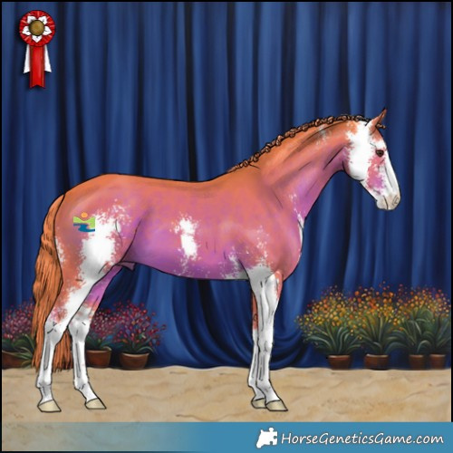 Horse Color:Watercolor Liver Chestnut Sabino 