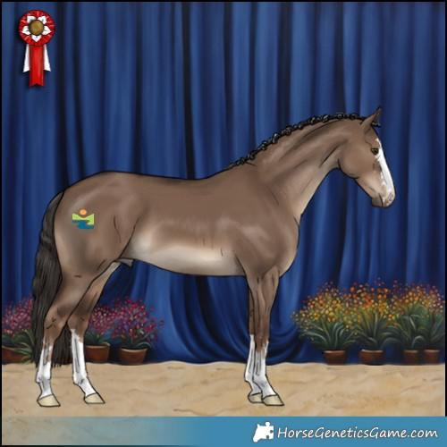 Horse Color:Liver Red Dun 