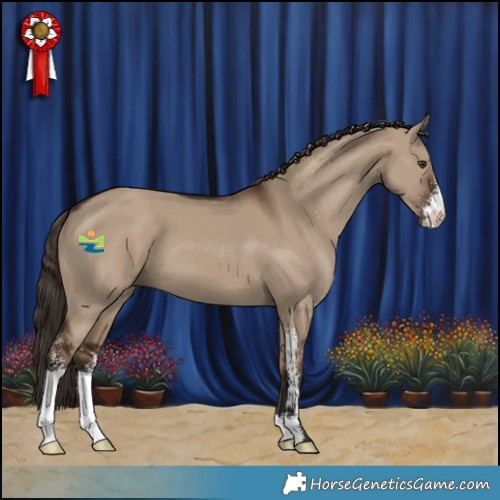 Horse Color:Liver Red Dun Sabino 