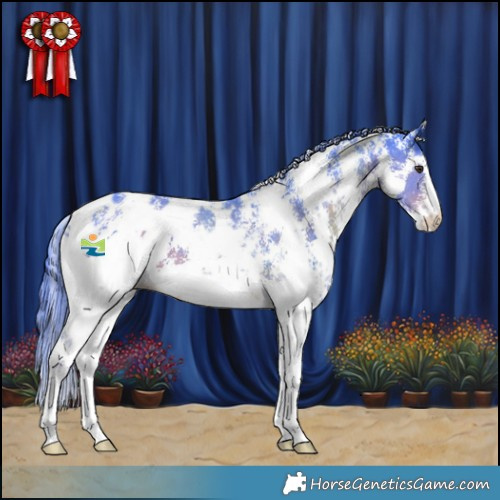 Horse Color:Watercolor Liver Chestnut Sabino Appaloosa 