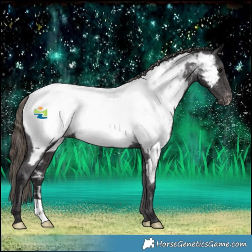 Horse Color:Smoky Black Near Fewspot 
