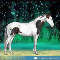 Horse Color:Brown Splash Tobiano