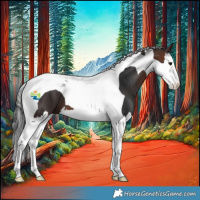 Horse Color:Brown Splash Tobiano 