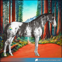 Horse Color:White Spotted Liver Chestnut Appaloosa 